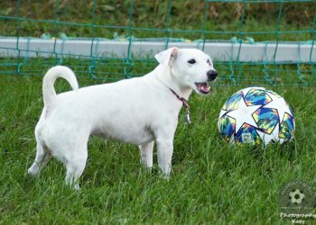 Foto dne - Na valašském fotbale máme hledače roteira