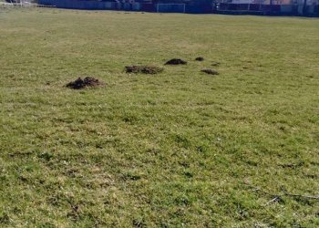 Stadiony zejí prázdnotou - Janová