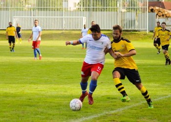 Tygři vylezli po devíti měsících z klece a zle potrápili Ústí