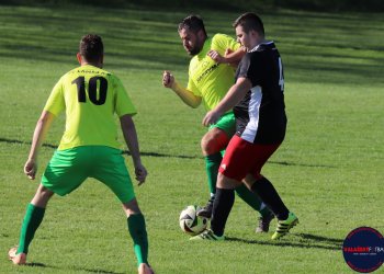 Varga srovnaný s Vokáčem, Březovják s Trochtou
