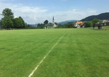 Hovězí hledá soupeře na 6. a 13. března