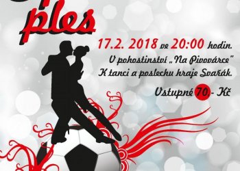 Sportovci Loučky pořádají ples