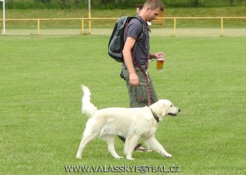 Foto č. 1 - Poličná 2002 vs. Poličná 2017
