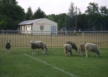 Foto č. 6 - Okresní přebor na Ukrajině