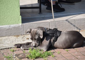 Foto č. 47 - Horní Bečva - Bynina