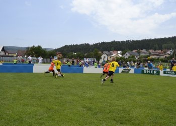 Foto č. 119 - Finálový turnaj o přeborníka okresu mladších žáků v Zašové