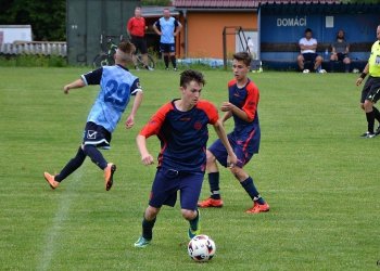 Foto č. 25 - Krhová - jarcová