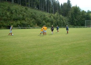 Foto č. 8 - Zlatá generace žáků Poličné 2008 - 2012